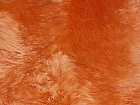 Оранжевый овчина шестишкурная  ORANGE 06SS 2001
